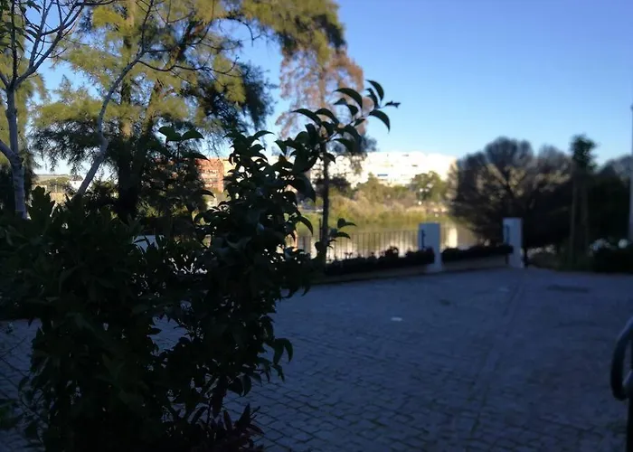 Disfruta Sevilla Desde Triana Junto Al Rio
